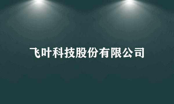 飞叶科技股份有限公司
