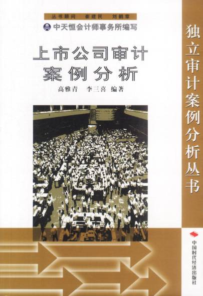 上市公司审计案例分析