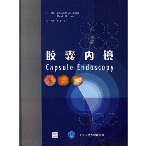 胶囊内镜（2009年北京大学医学出版社出版的图书）