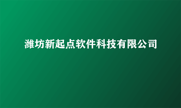 潍坊新起点软件科技有限公司