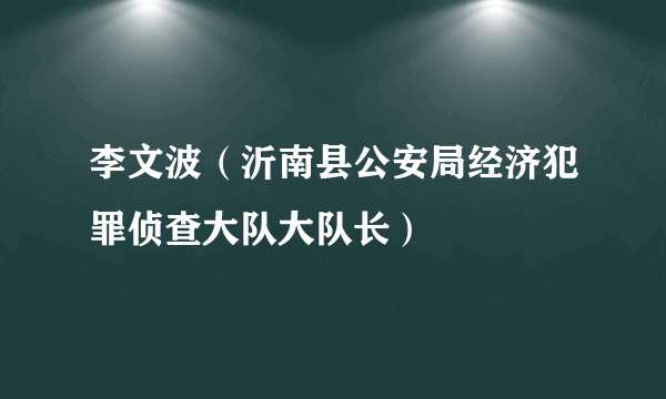 李文波（沂南县公安局经济犯罪侦查大队大队长）