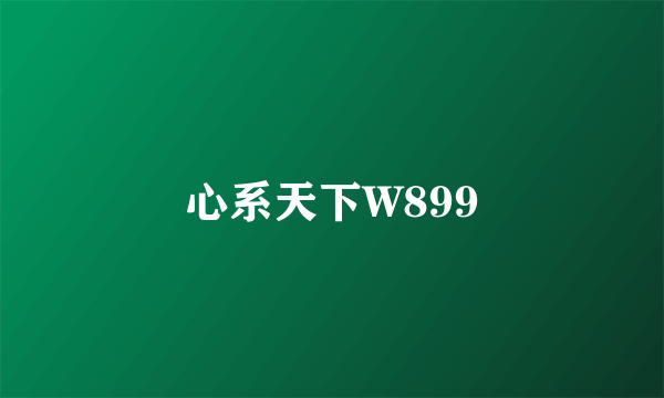 心系天下W899