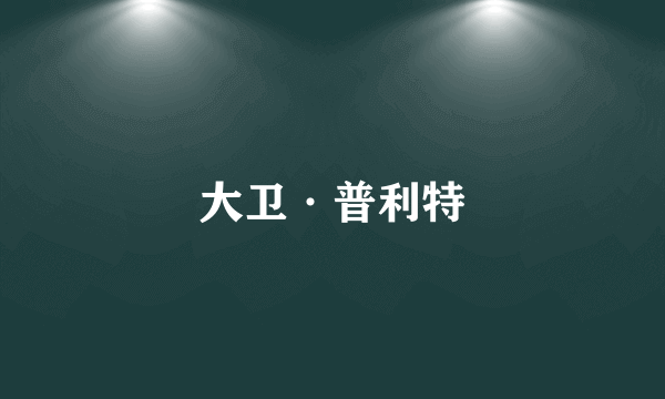 大卫·普利特