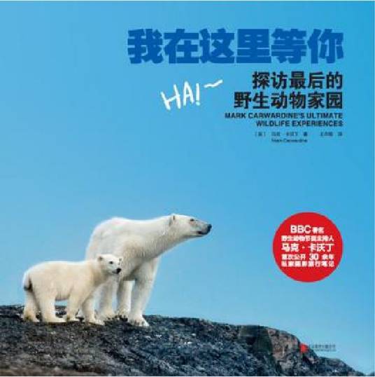 我在这里等你（北京联合出版公司出版图书）