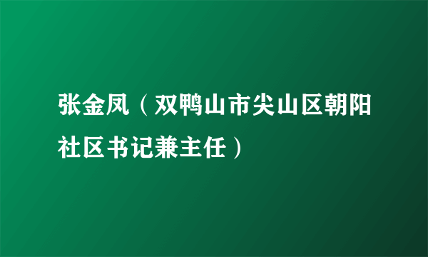 张金凤（双鸭山市尖山区朝阳社区书记兼主任）