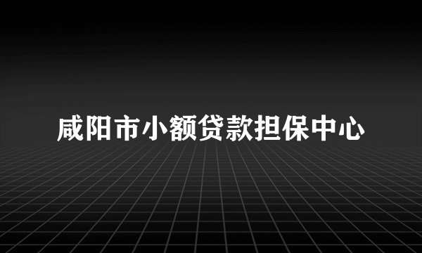 咸阳市小额贷款担保中心