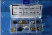 化石标本保护技术