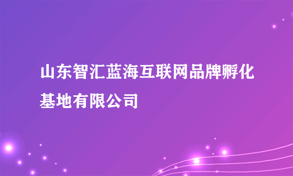 山东智汇蓝海互联网品牌孵化基地有限公司