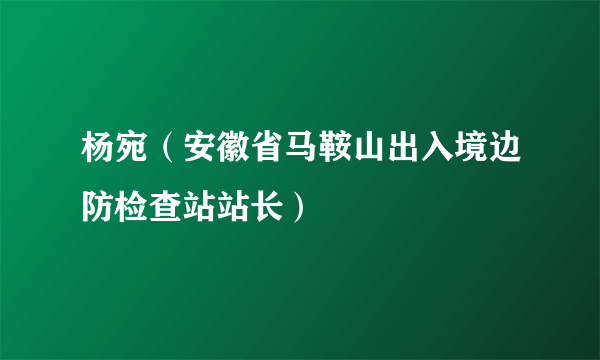 杨宛（安徽省马鞍山出入境边防检查站站长）