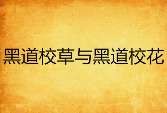 黑道校草与黑道校花
