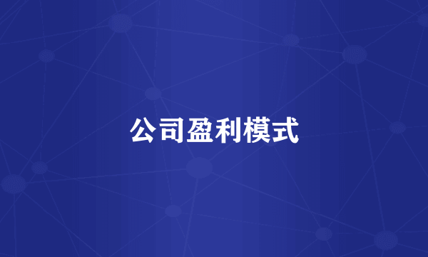 公司盈利模式