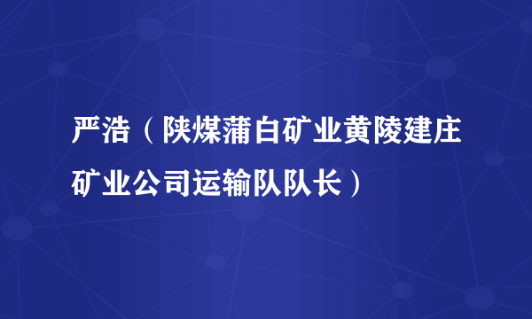 严浩（陕煤蒲白矿业黄陵建庄矿业公司运输队队长）