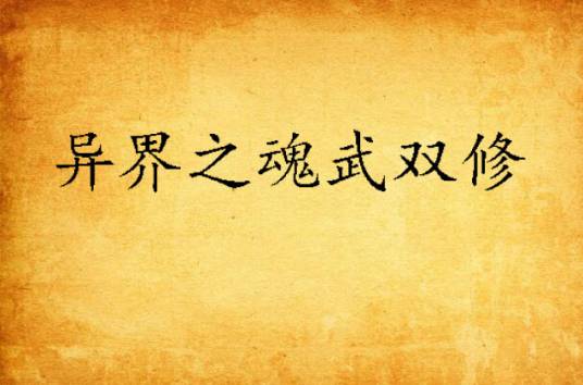 异界之魂武双修