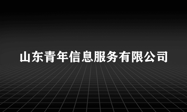 山东青年信息服务有限公司