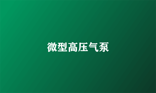 微型高压气泵