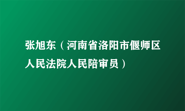 张旭东（河南省洛阳市偃师区人民法院人民陪审员）