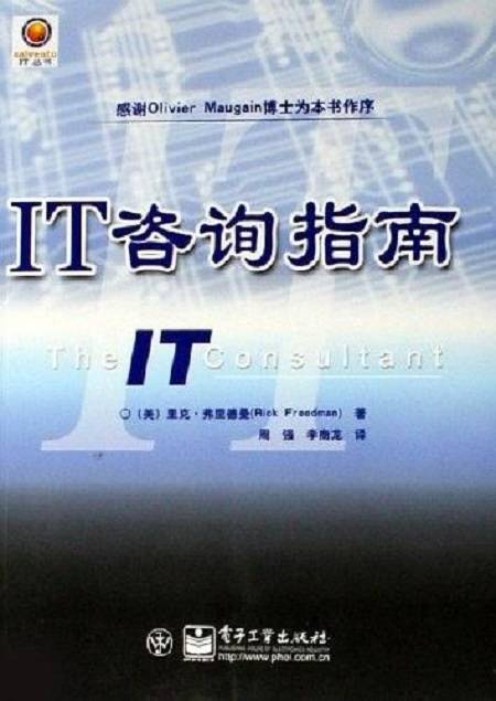 IT咨询指南
