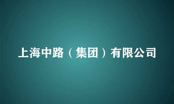 上海中路（集团）有限公司
