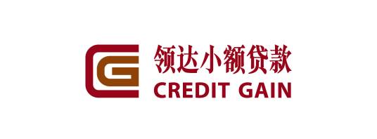 深圳市领达小额贷款有限公司