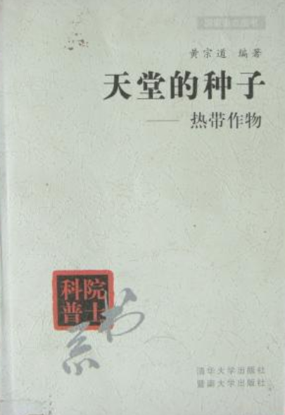 天堂的种子（2000年清华大学出版社出版的图书）