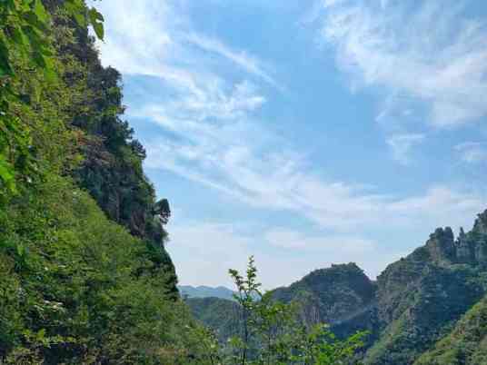 清风岭省级自然保护区