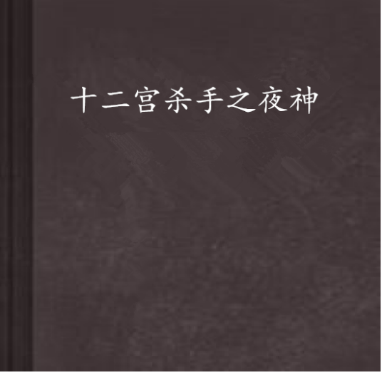 十二宫杀手之夜神