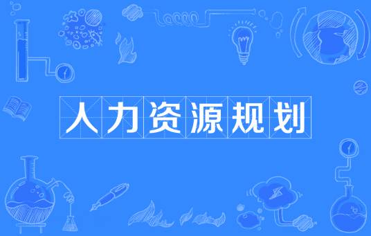 人力资源规划（提供人力资源的战略工程）