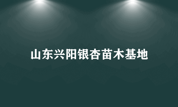 山东兴阳银杏苗木基地
