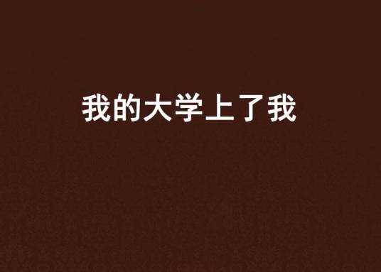我的大学上了我