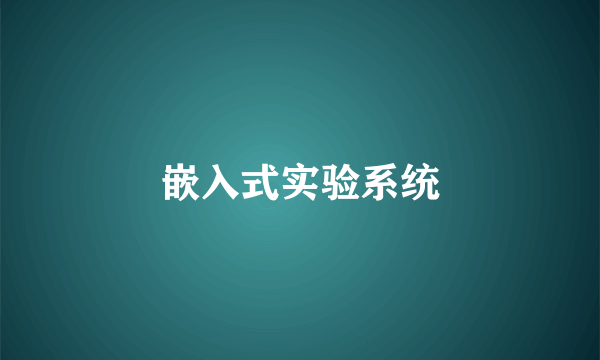 嵌入式实验系统