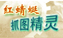 红蜻蜓抓图精灵