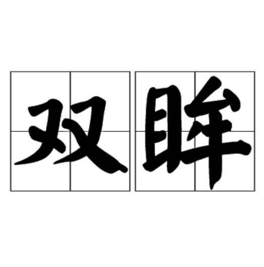 双眸