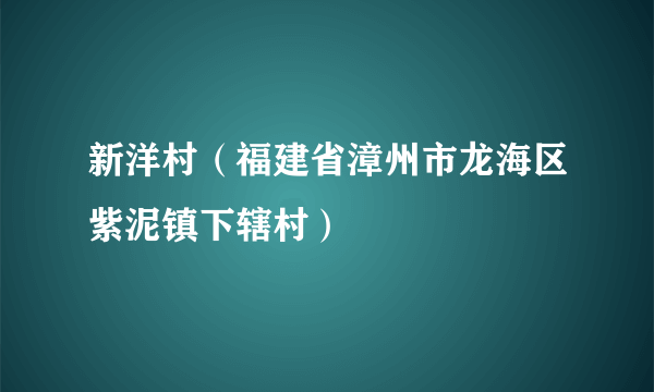 新洋村（福建省漳州市龙海区紫泥镇下辖村）