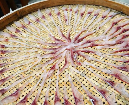 授之于鱼不如授之于渔