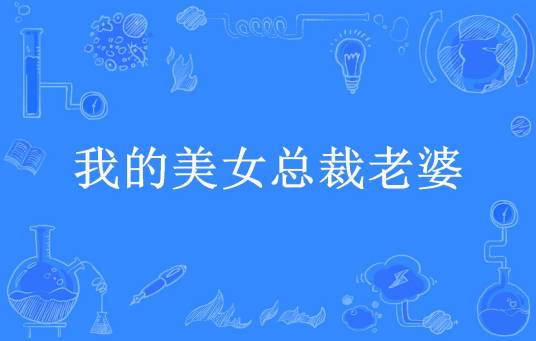 我的美女总裁老婆（火云所著小说）