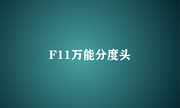 F11万能分度头