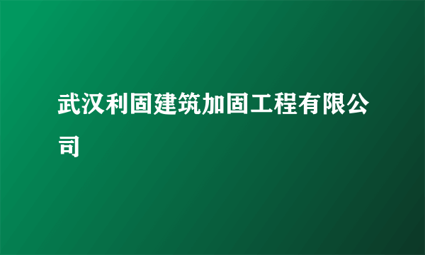 武汉利固建筑加固工程有限公司