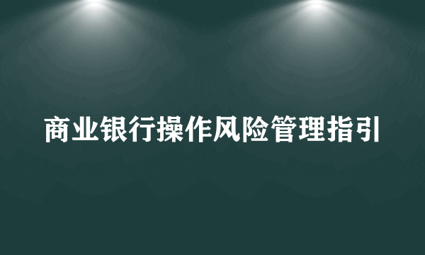 商业银行操作风险管理指引