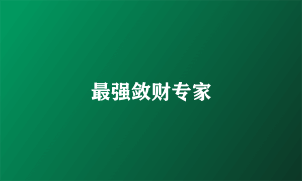 最强敛财专家