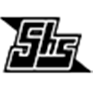 5HS战队