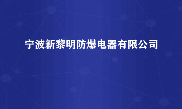 宁波新黎明防爆电器有限公司