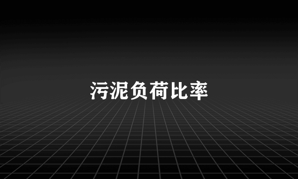 污泥负荷比率