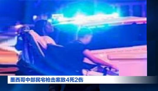 12·18墨西哥瓜纳华托州枪击事件