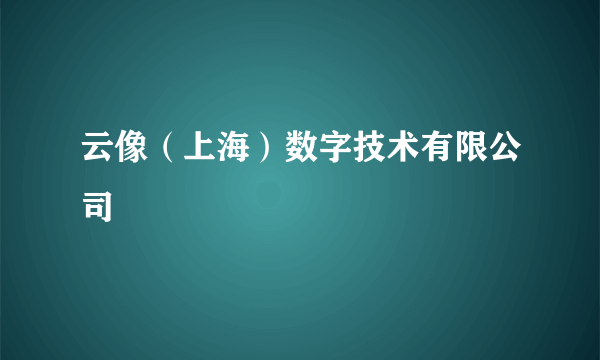 云像（上海）数字技术有限公司