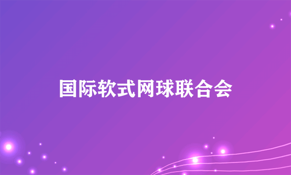 国际软式网球联合会