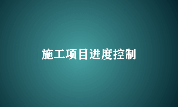 施工项目进度控制