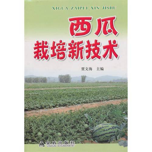 西瓜栽培新技术