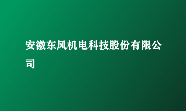 安徽东风机电科技股份有限公司