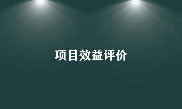 项目效益评价