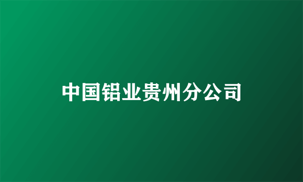 中国铝业贵州分公司